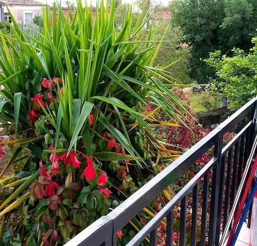 Perfect Base To Explore Messinian Region - * Valíra