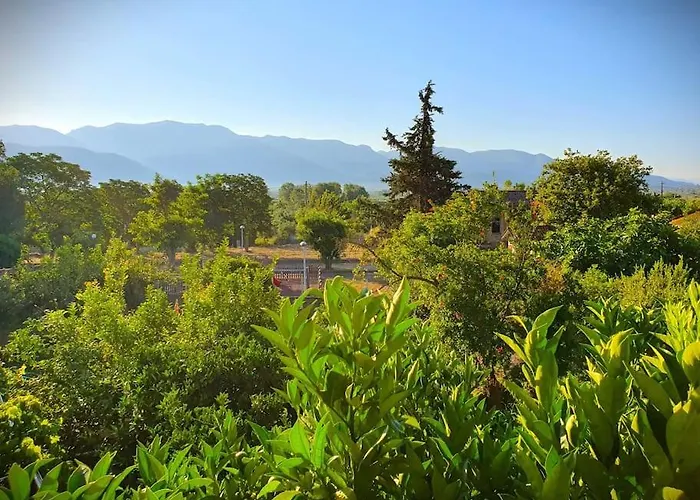 Semesterbostad Perfect Base To Explore Messinian Region - *